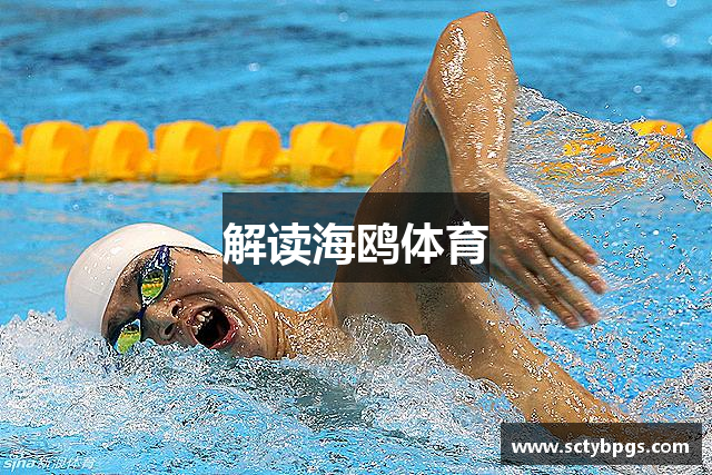 解读海鸥体育